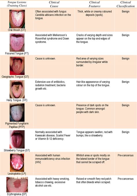 Figure 1 From Automated Detection Of Oral Pre Cancerous Tongue Lesions