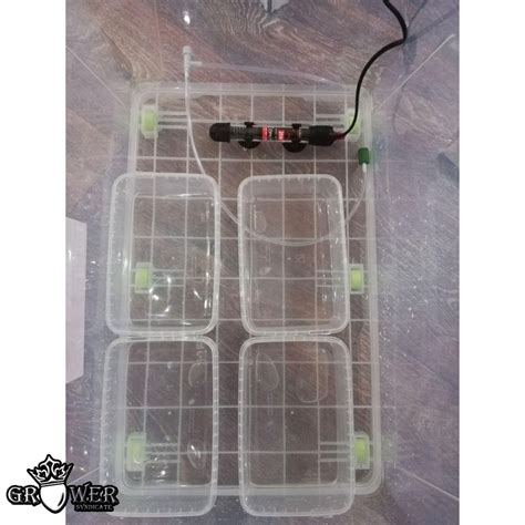 Гроубокс для грибов