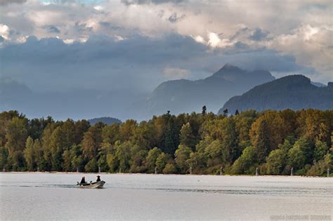 Salmon Fishing on the Fraser River