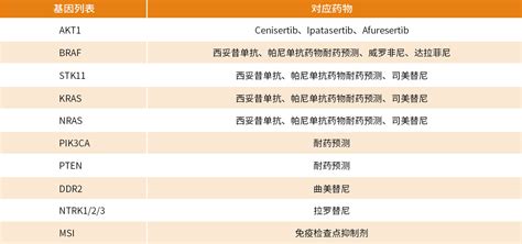 Oncodrug Seq™ 肠癌核心版用药检测鼎晶生物 让医疗更有效