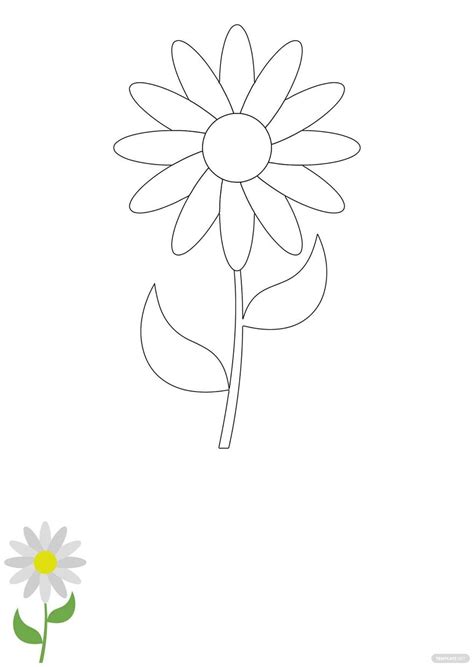 Daisy Flower Colouring Pages Infoupdate Org