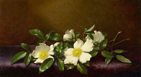 Martin Johnson Heade: Biography, Works, Analysis | SchoolWorkHelper