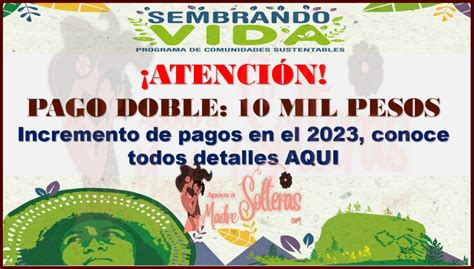 Pago Doble Para El Programa Sembrando Vida Mil Pesos Consulta La