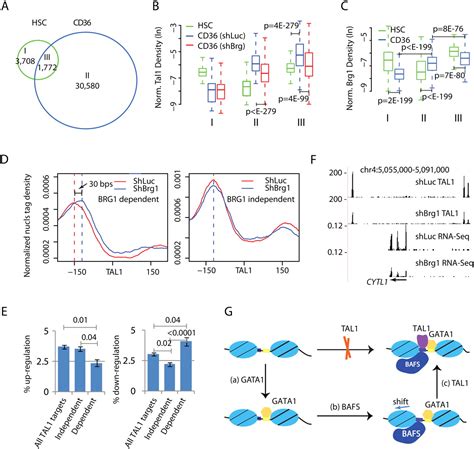 Regulation Of Nucleosome Landscape And Transcription Factor Targeting