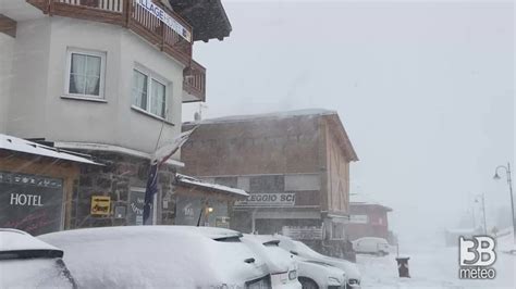 Cronaca Meteo Diretta Neve Sulle Alpi La Situazione Al Passo Rolle