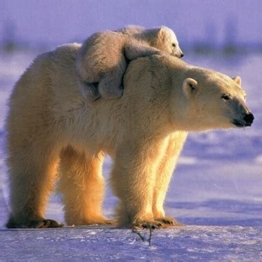 Retro Amateur Reift Zusammenstellung Xhamster