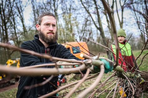 Düsseldorf pflanzt Zukunft 150 neue Bäume für den Südpark