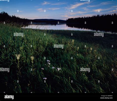 View of a river, sweden Stock Photo - Alamy