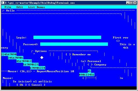 Garbled Code Appears In The Display Under Windows 2008 R2 Issue 353