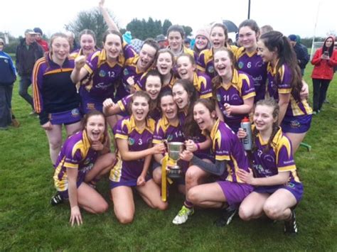 In Pictures St Brigids Come Out On Top In Minor Camogie Final Laois