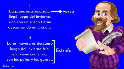 Versos Y Estrofas De Un Poema Qu Son Diferencias Y Ejemplos