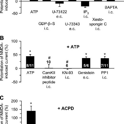 Effect Of Atp On The Nmda Induced Current In Layer V Pyramidal Neurons