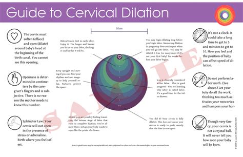 Cervix Dilation Printable Guide Better Birth Blog