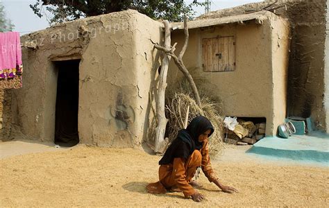 Village Life Punjab