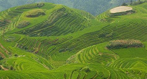 visiter Les rizières en terrasses de lEchine du Dragon