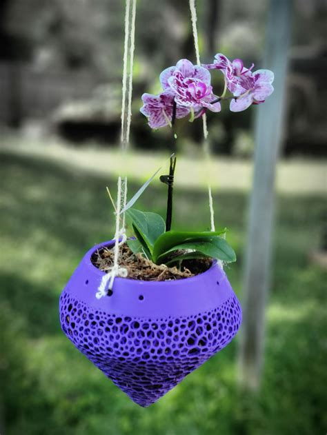 Hanging Orchid Pot - Etsy