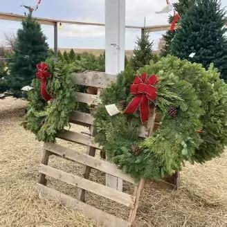 Silver Bells Christmas Tree Farm | Chickasaw Country