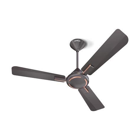 Buy Havells Mm Ambrose Es Ceiling Fan Premium Matt Finish