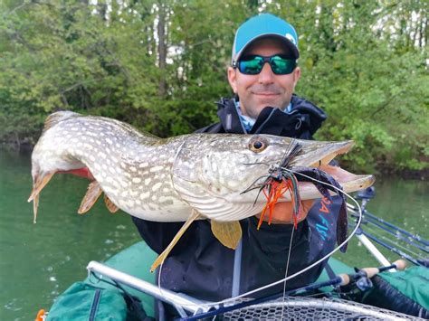 Pêche Au Rubber Jig Allez Chercher Le Brochet Au Cœur Des Obstacles