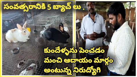 Rabbit Farming Rabbit Farming In Telugu Rabbit Farming Business