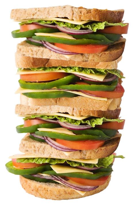 giant sandwich stock image image  roll food layers