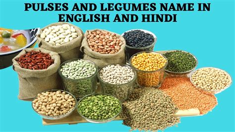 Lentils Legumes Or Pulses In English Hindi And Other Off