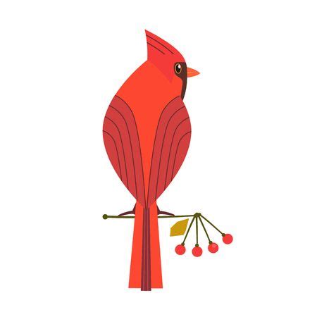 cartoon cardinal clipart 20 free Cliparts | Download images on ...