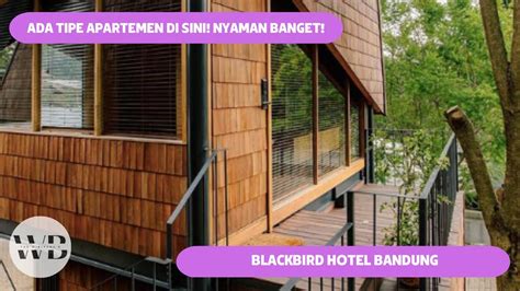 Blackbird Hotel Tipe Baru Apartemen Yang Cakep Dan Homey Banget