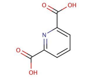 2 6 Pyridinedicarboxylic Acid CAS 499 83 2 SCBT Santa Cruz