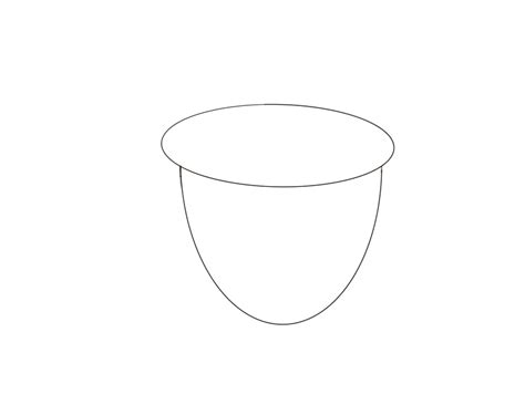 draw acorn laura petrisin authorillustrator