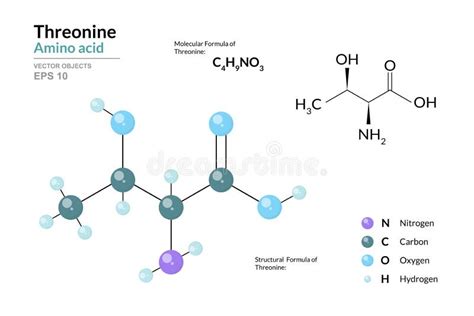 Threonine Thr C4H9NO3 Amino Acid Structural Chemical Formula And