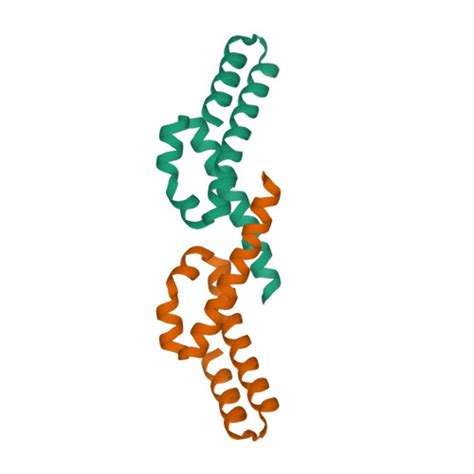 Rcsb Pdb Tjl Crystal Structure Of De Novo Designed Protein Sewn