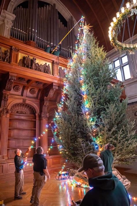 Watch Biltmore's Christmas tree-raising ceremony