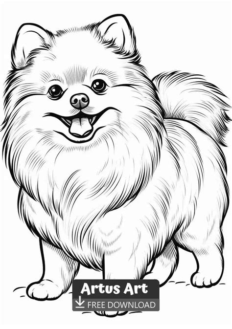 Pomeranian Coloring Page For Kids Dog Coloring Page Animal Coloring