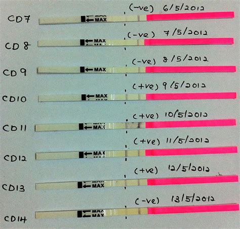 Ovulation Test Strip Part 2