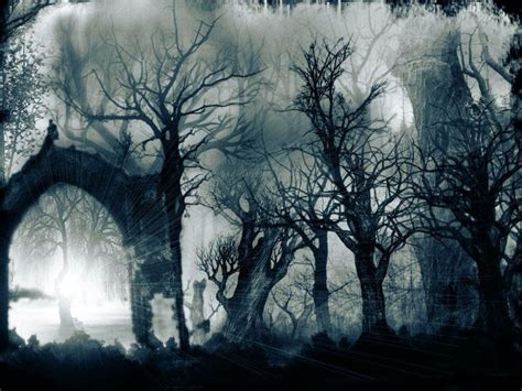 O Que Significa Tenebroso - arboles tenebrosos - Búsqueda de Google | Bosque tenebroso, Fotografía ...