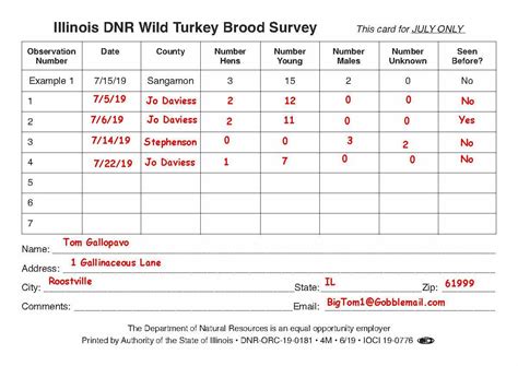 Outdoor Illinois Journal: Calling Citizen Scientists for Turkey Brood ...