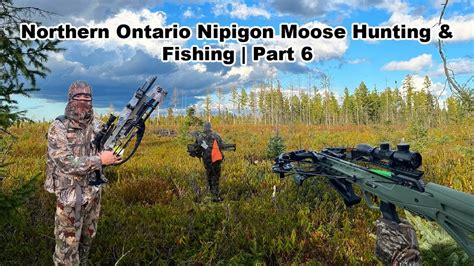 Northern Ontario Nipigon Moose Hunting And Fishing Part 6 Youtube