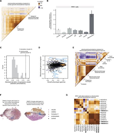 Mapping Information Rich Genotype Phenotype Landscapes With Genome