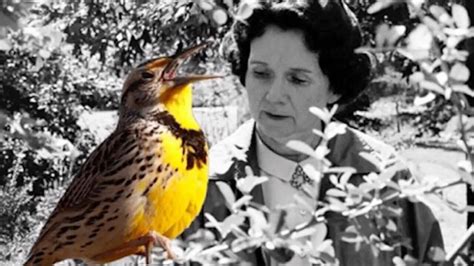 Rachel Carson la mère de l écologie Documentaire où regarder TV