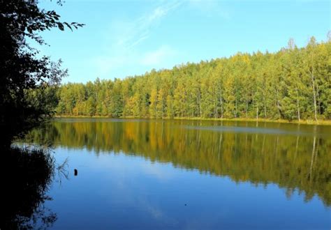 Free fotobanka krajina strom Příroda les divočina rostlina