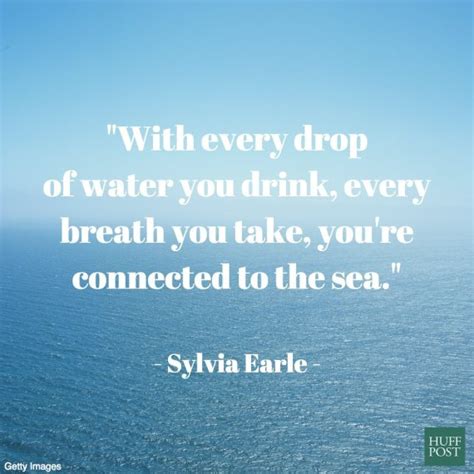 11 Quotes About The Ocean That Remind Us To Protect It | HuffPost