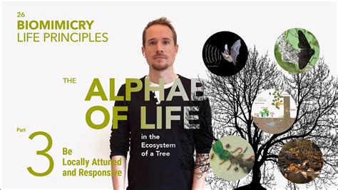 Biomimicry Life Principles Part 3 Ijklm Youtube