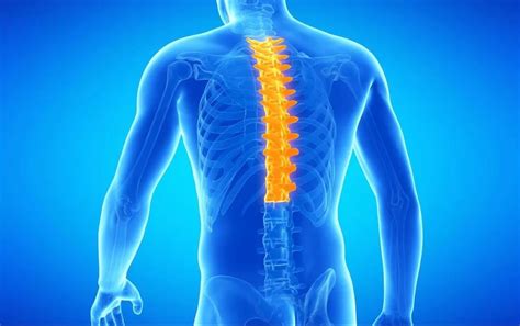 zoom class thoracic  align pain solutions posture alignment