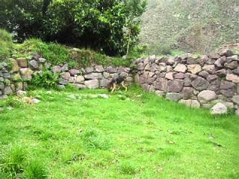 Agricultor de Matucana dedica canción a perro YouTube