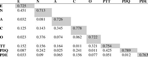 Discriminant Validity E Extraversion A Agreeableness N Neuroticism