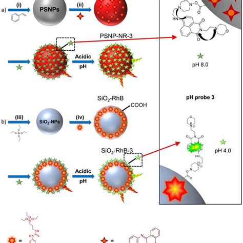 PH Dependent Spectroscopic Properties Of Fluorescent Probe 3 A