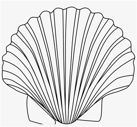 sea shell   sea shell png images  cliparts