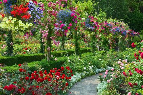 Rose Garden Google Search Rose Garden Design Most Beautiful