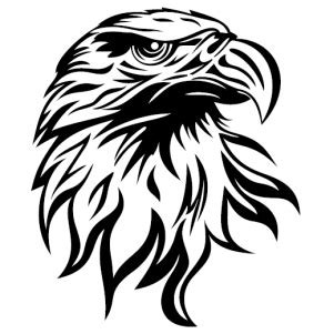 Bald Eagle Head SVG